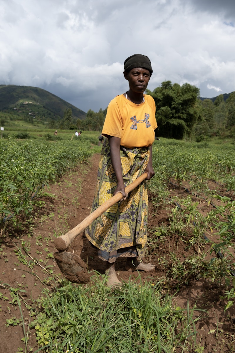 A woman working in the fields