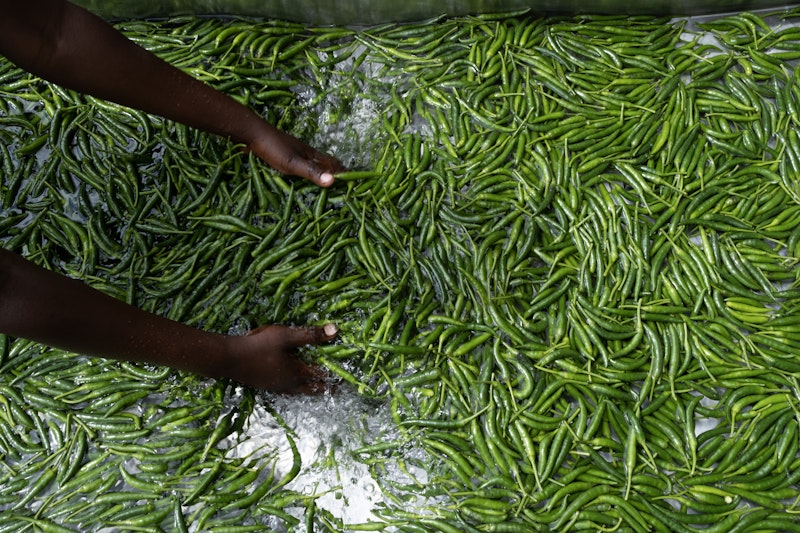 Chillies being washed by hand