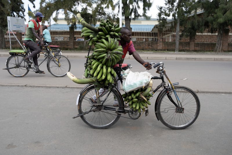 A man transporting bananas by bicycle