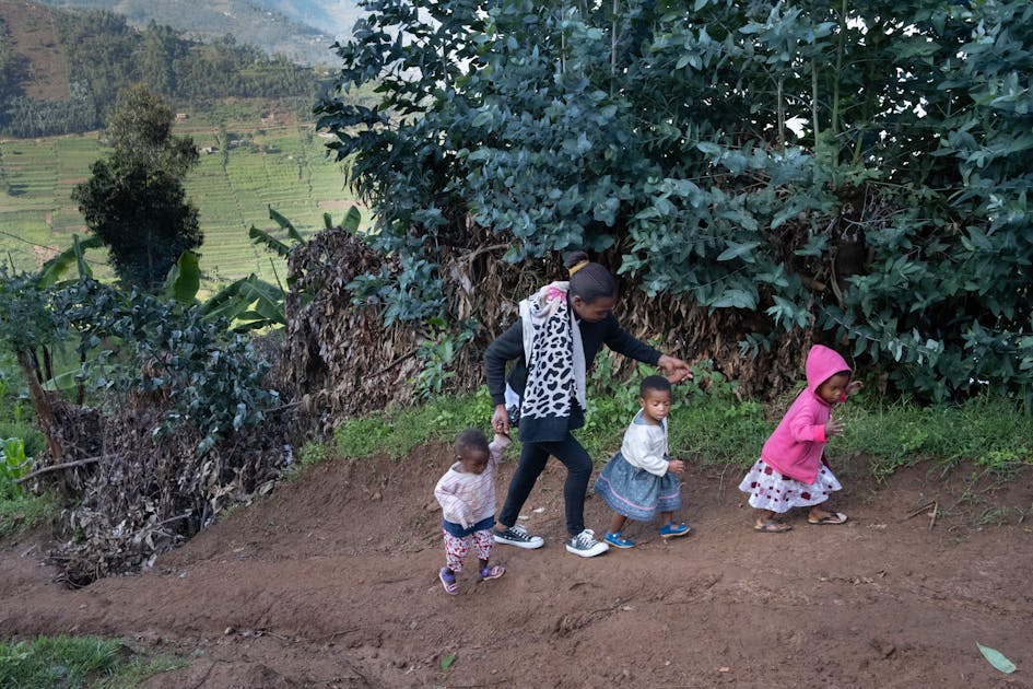 Unlocking the potential of gender equality and social inclusion in cold ...