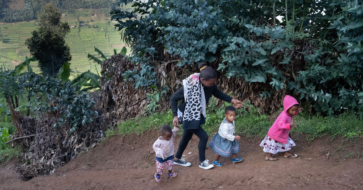 Unlocking the potential of gender equality and social inclusion in cold ...