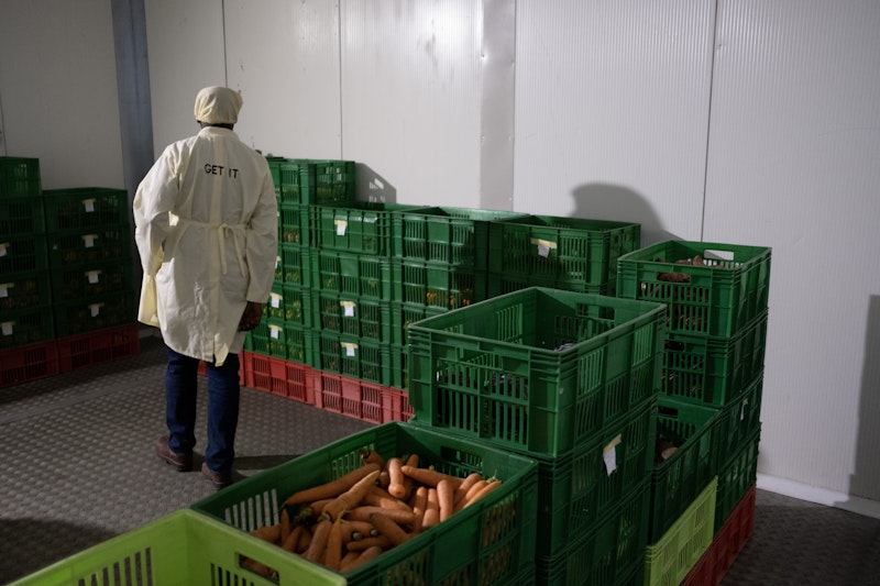 Rwandan worker with crates of carrots