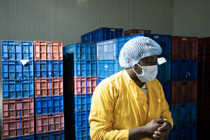 A food worker in a warehouse