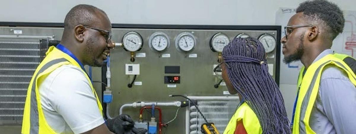Strengthening cold-chain systems in Africa can reduce food loss locally