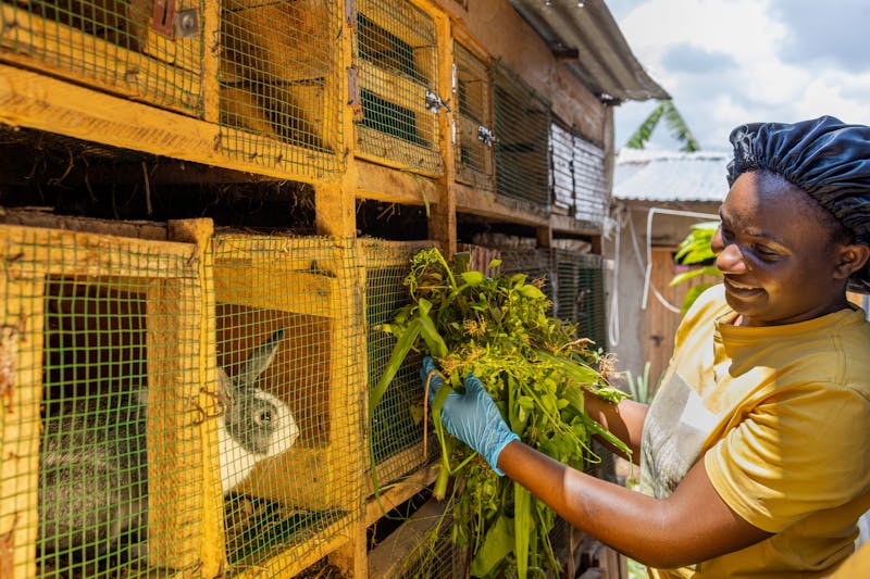 Albertine Uwajeneza, a cold-chain technician and rabbit farmer from Rwanda