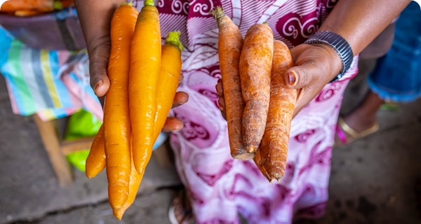 fresh carrots