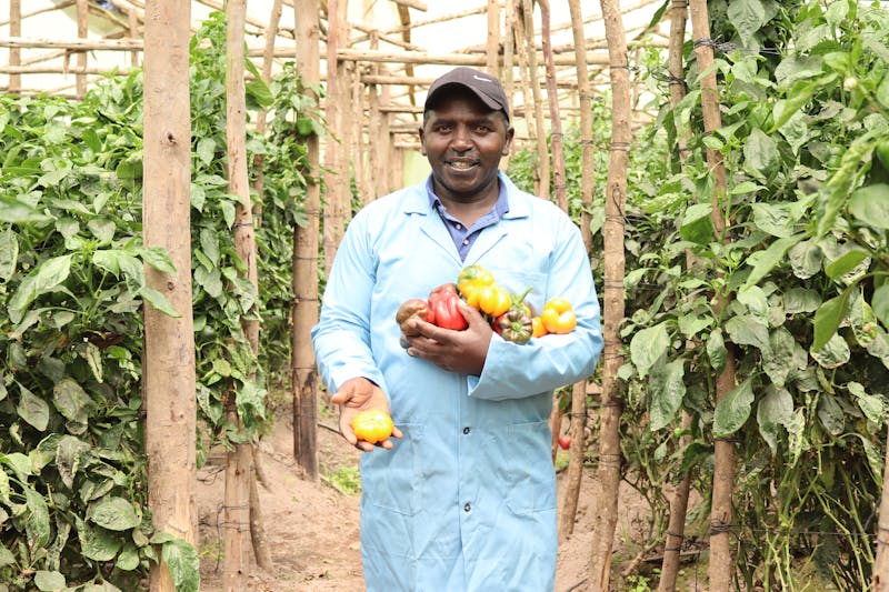 Zackary is a dairy and horticultural farmer with over 30 years' experience.