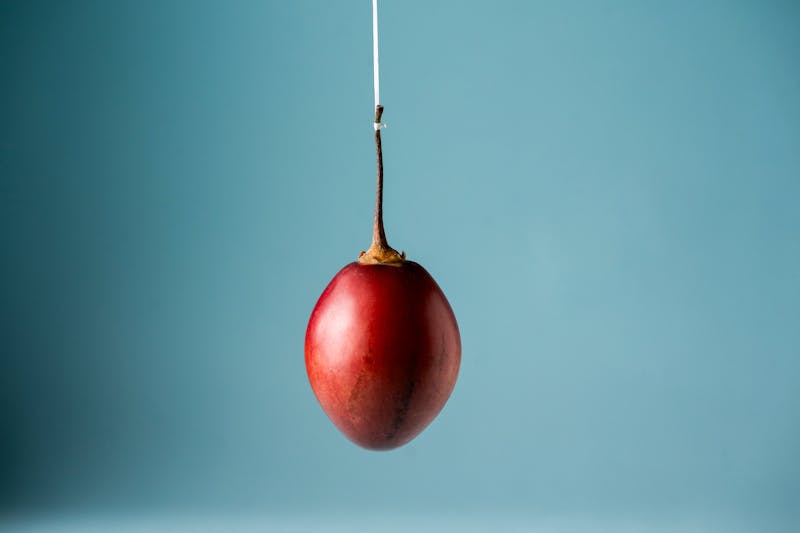 Card header image